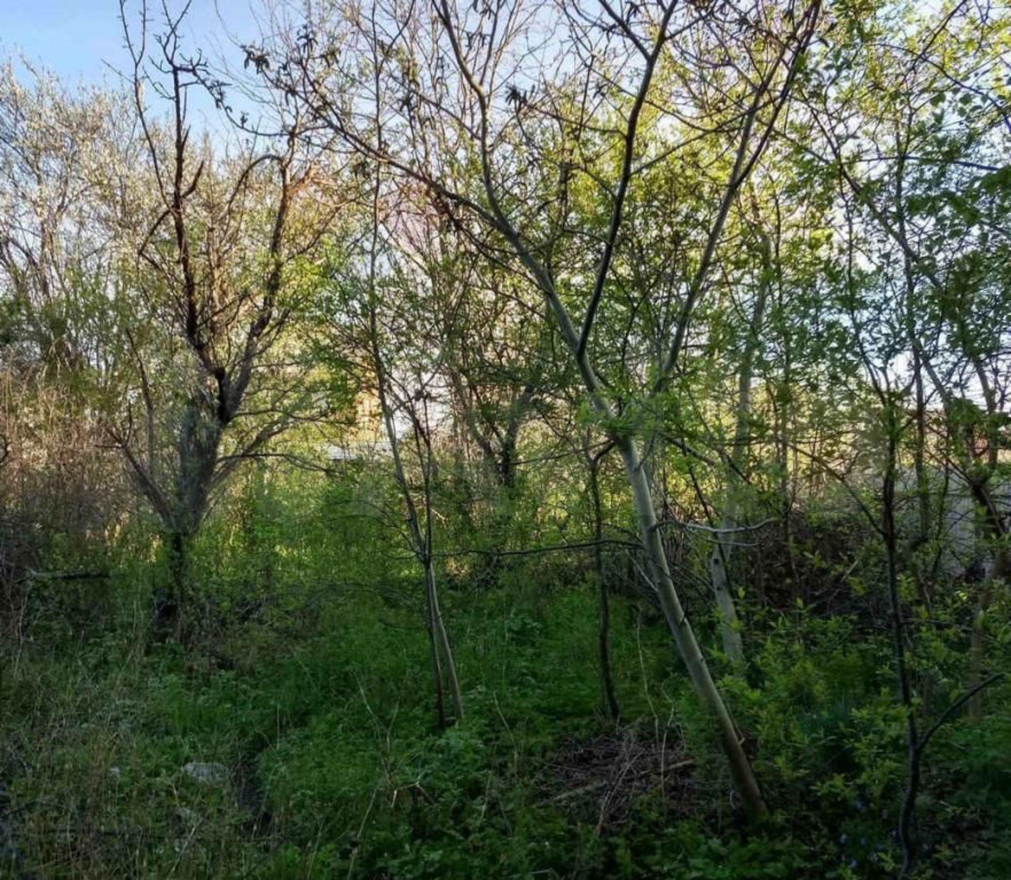 Купить дачу, дом, коттедж за 3 500 000 рублей на Сиреневая ул, 50