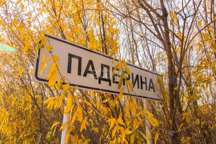 Коттедж/дом Падерина