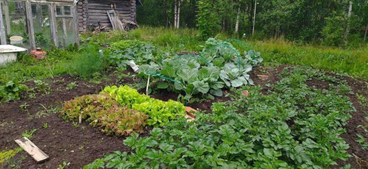 Земельный участок Панковское с/п