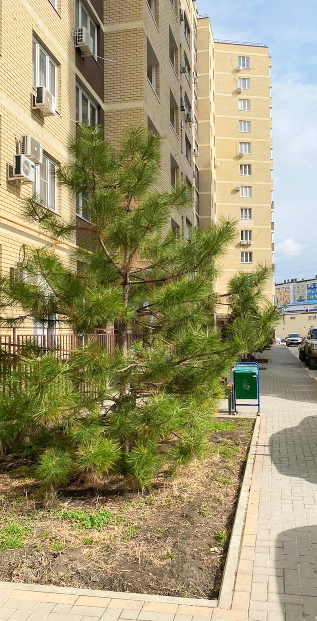 Купить помещение свободного назначения за 850 000 рублей на Анапа