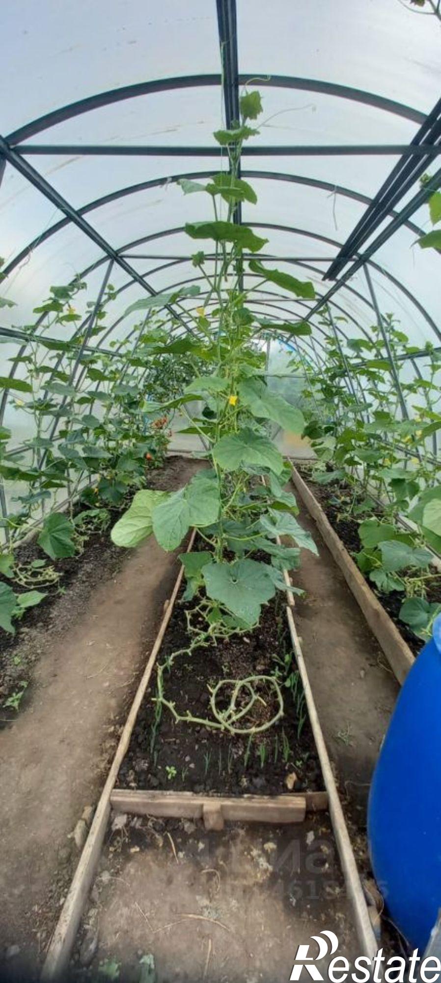 Купить дачу, дом, коттедж за 3 800 000 рублей на Птичный переулок, 2