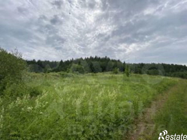 Земельный участок Осинский городской округ, посёлок Рейд, Подлесная улица, 3