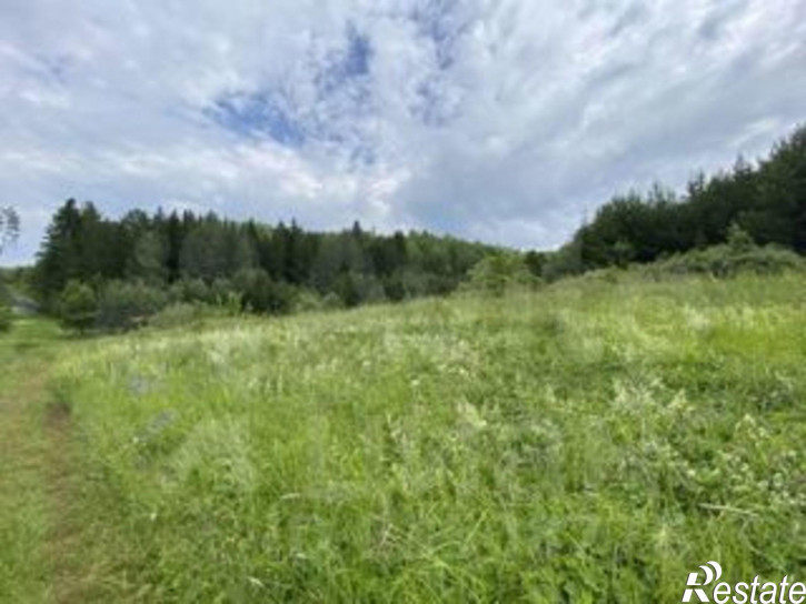 Земельный участок Осинский городской округ, посёлок Рейд, Подлесная улица, 3