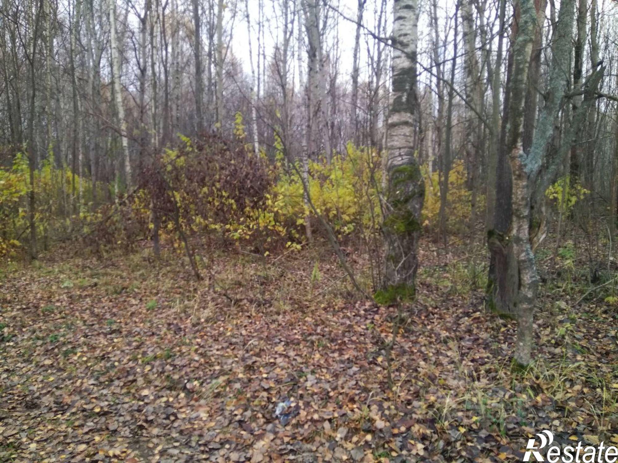 Купить землю, земельный участок за 1 950 000 рублей на Нижний Новгород городской округ, курортный посёлок Зелёный Город
