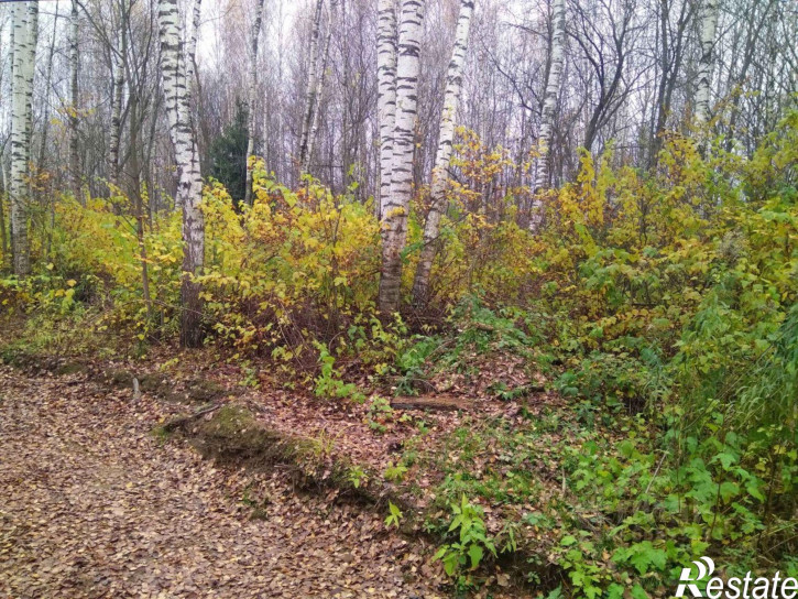 Земельный участок Нижний Новгород городской округ, курортный посёлок Зелёный Город