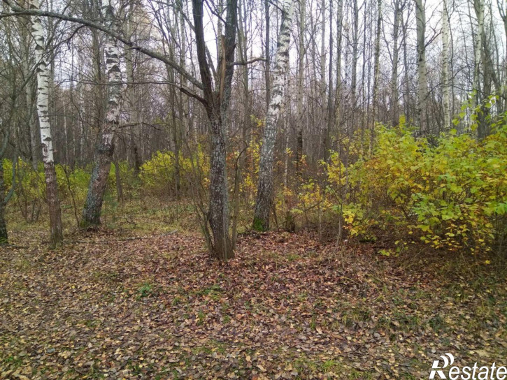 Земельный участок Нижний Новгород городской округ, курортный посёлок Зелёный Город