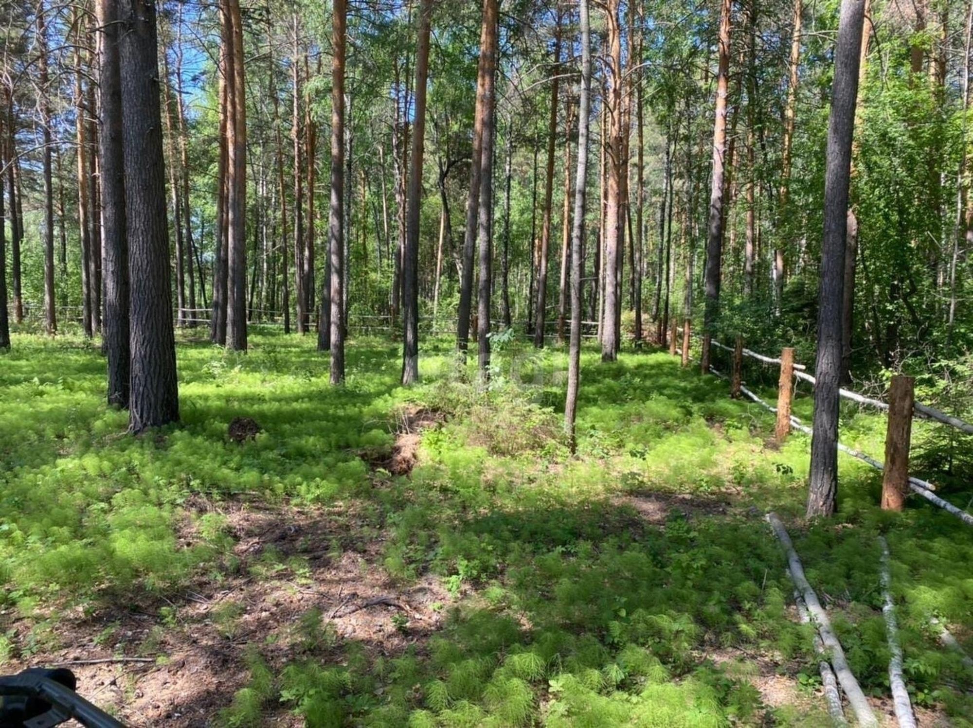 Купить землю, земельный участок за 16 000 000 рублей на Зеленая,