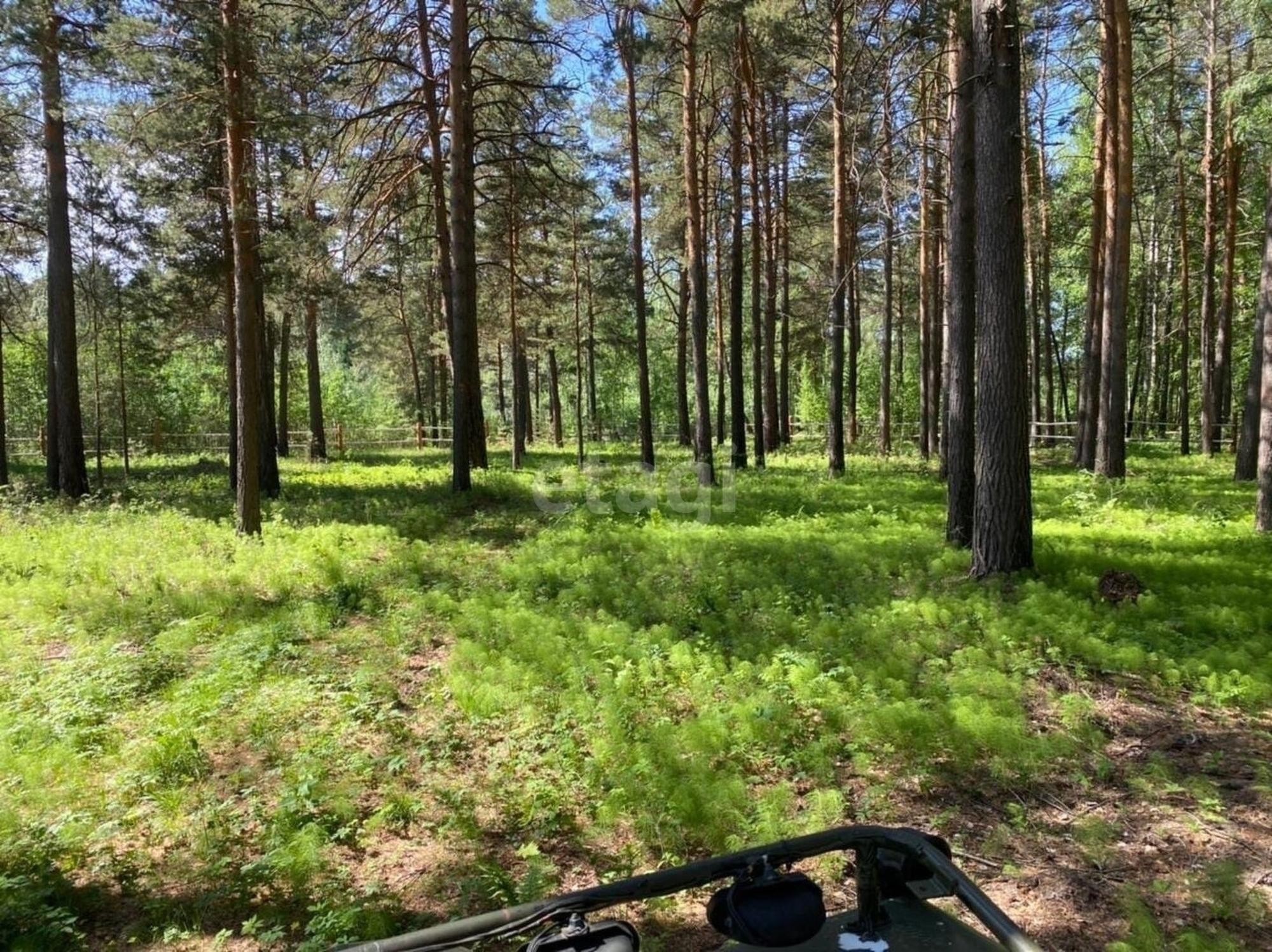 Купить землю, земельный участок за 16 000 000 рублей на Зеленая,
