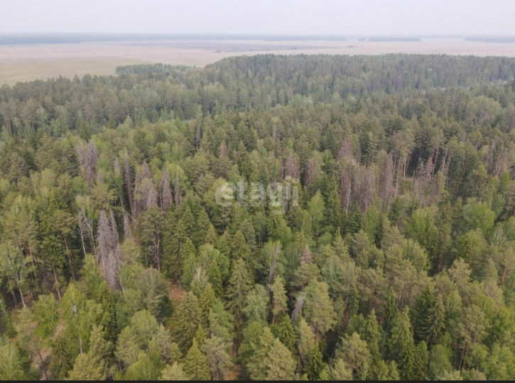 Земельный участок Зубарева