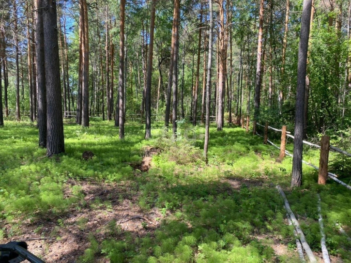 Земельный участок Новая,