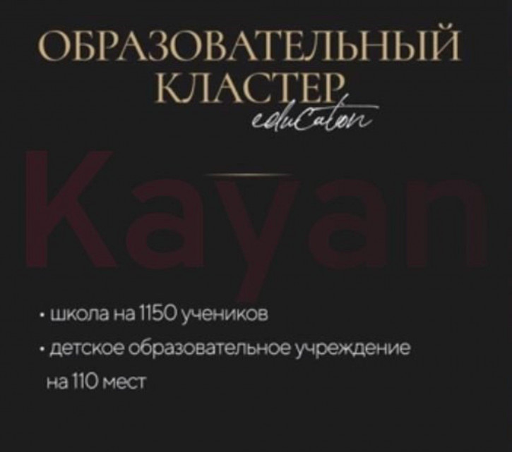 Студия Новороссийская ул.