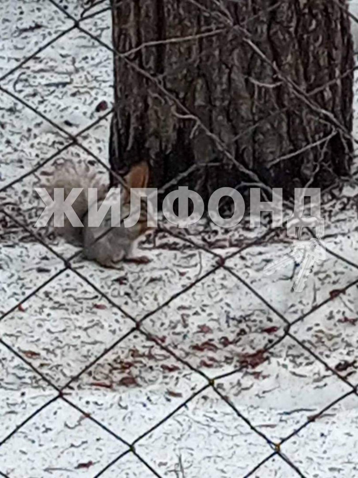 Купить квартиру за 3 400 000 рублей на Михаила Лермонтова улица, д.248