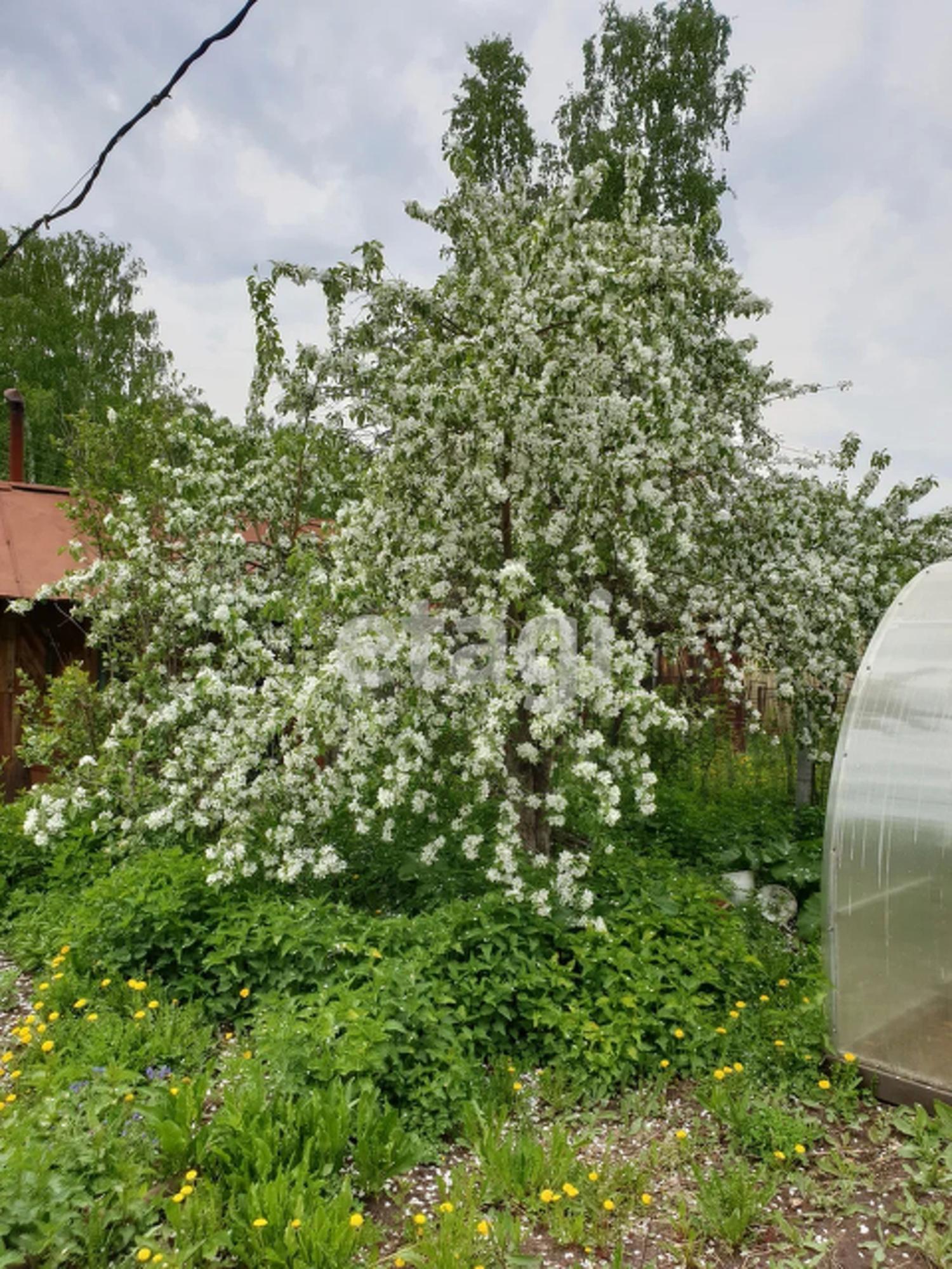 Купить дачу, дом, коттедж за 1 250 000 рублей на Array