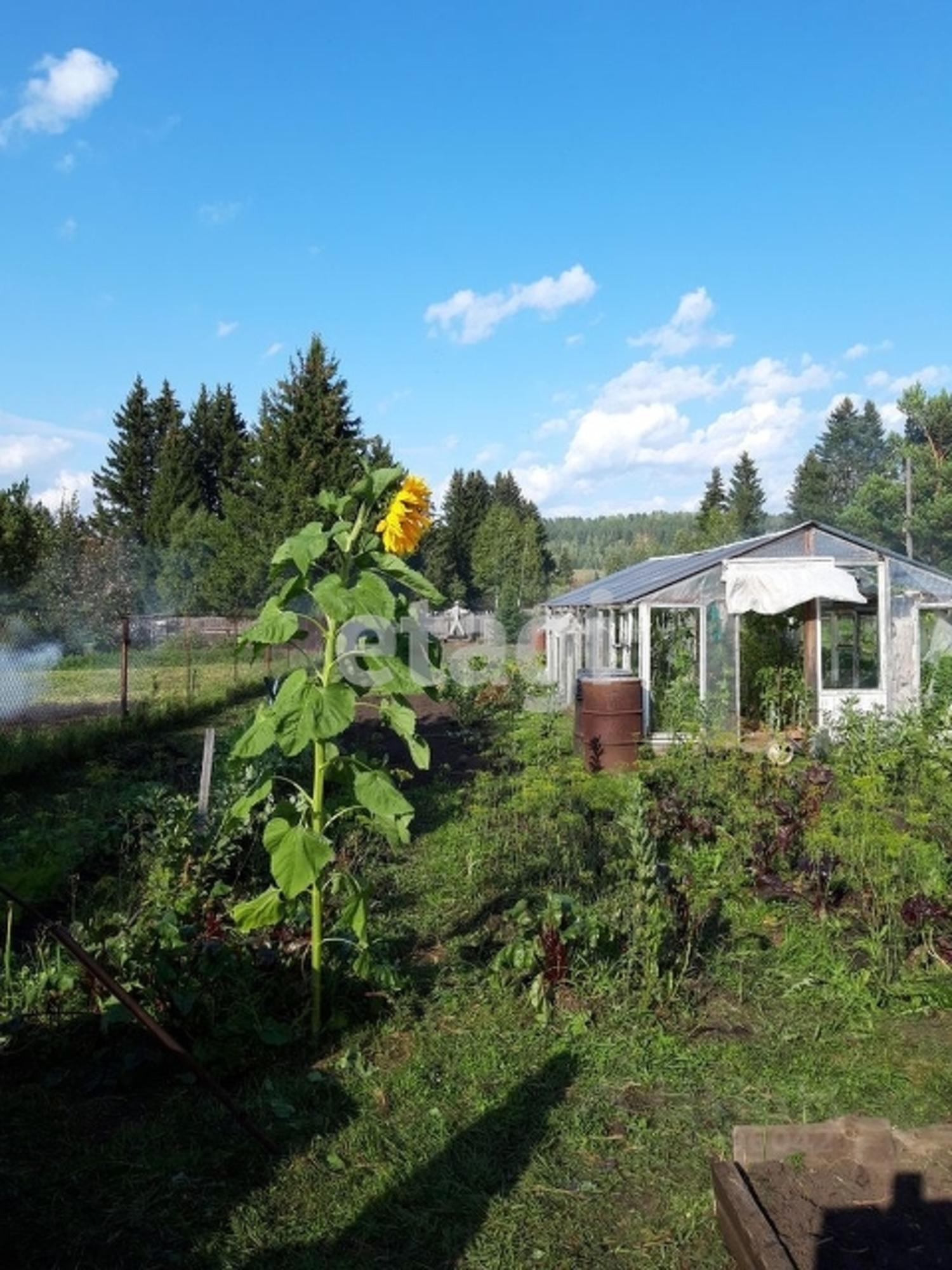 Купить дачу, дом, коттедж за 1 500 000 рублей на Array
