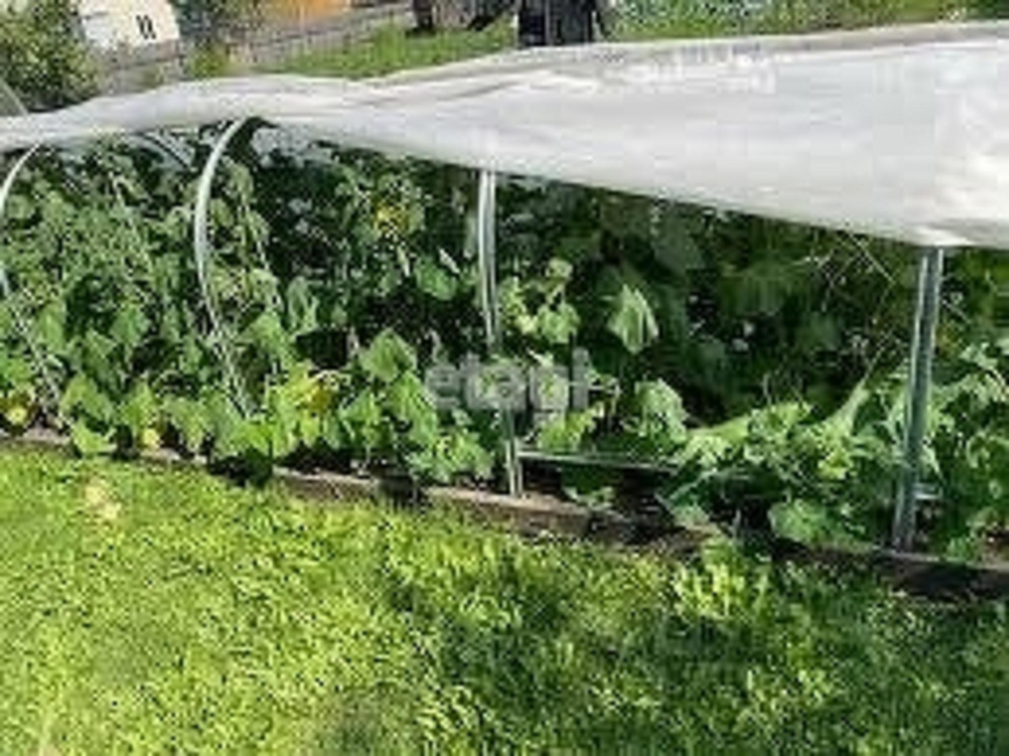Купить дачу, дом, коттедж за 1 750 000 рублей на Array