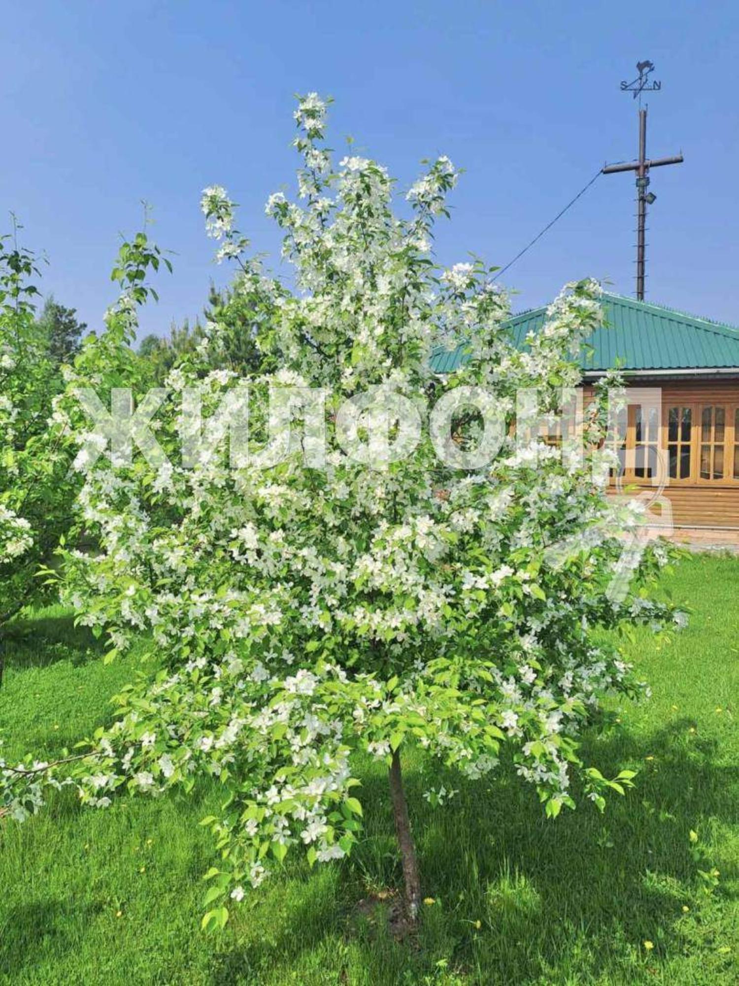 Купить дачу, дом, коттедж за 13 900 000 рублей на поселок Сингапай