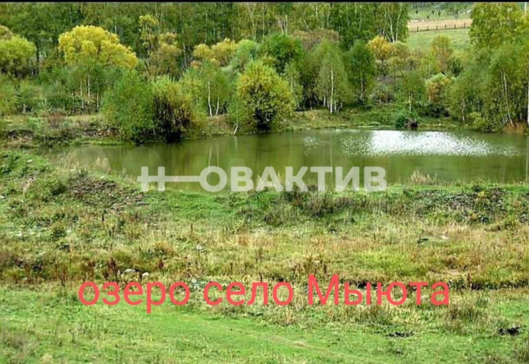 Купить землю, земельный участок за 2 600 000 рублей на Респ Алтай, Шебалинский р-н, село Мыюта