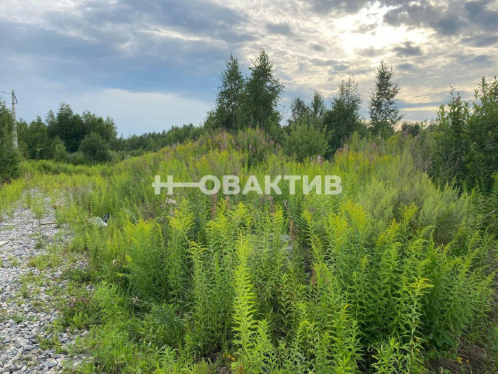 Земельный участок Новосибирская обл, рп Кольцово
