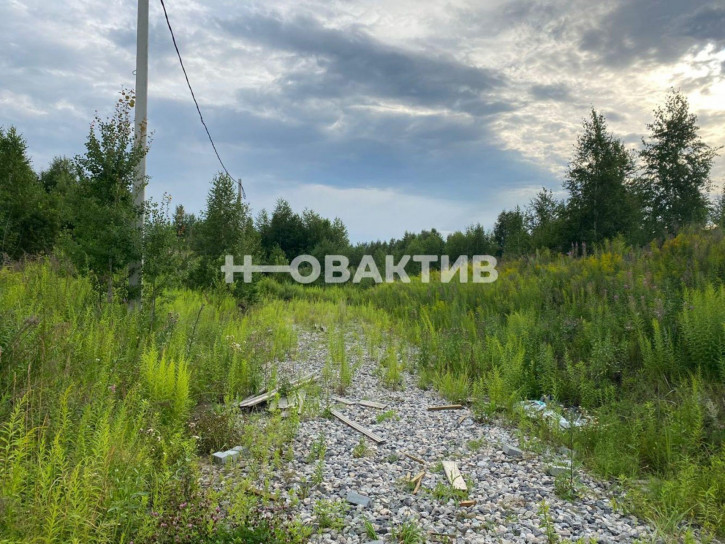 Земельный участок Новосибирская обл, рп Кольцово