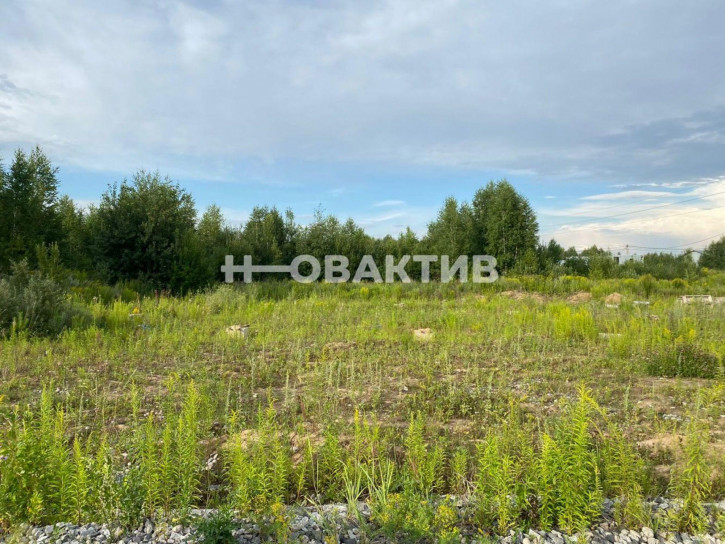 Земельный участок Новосибирская обл, рп Кольцово