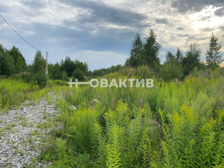 Земельный участок Новосибирская обл, рп Кольцово