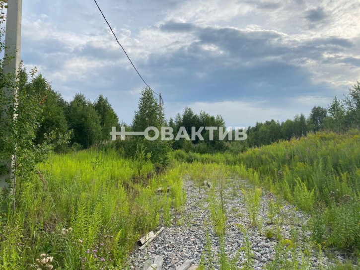 Земельный участок Новосибирская обл, рп Кольцово