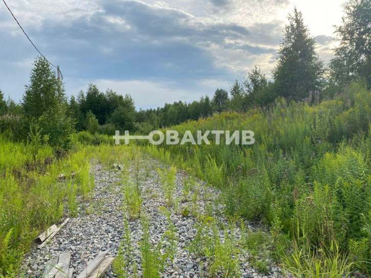 Земельный участок Новосибирская обл, рп Кольцово