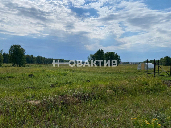 Земельный участок Новосибирская обл, Новосибирский р-н, Морской сельсовет, ТСН Эко-посёлок Ближняя Дача, ул Агатовая 10