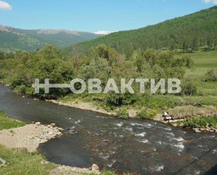 Земельный участок Респ Алтай, Шебалинский р-н, село Мыюта