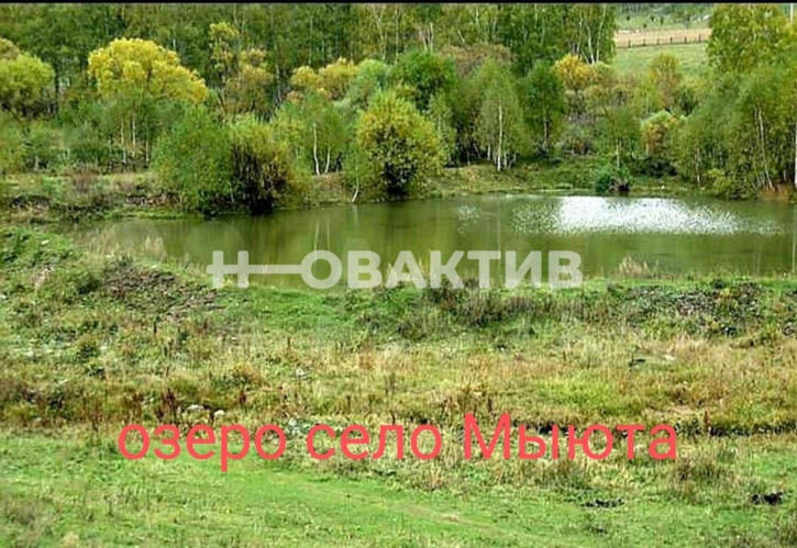 Земельный участок Респ Алтай, Шебалинский р-н, село Мыюта