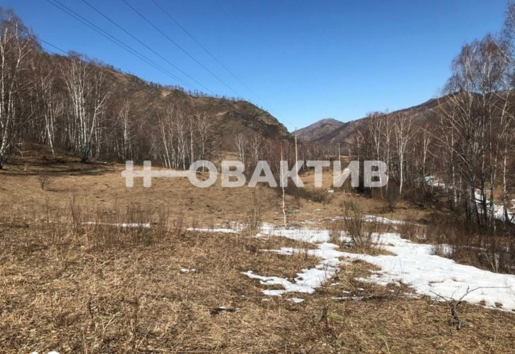 Земельный участок Респ Алтай, Шебалинский р-н, село Мыюта