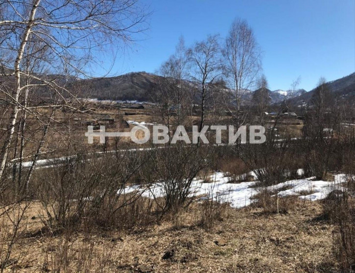 Земельный участок Респ Алтай, Шебалинский р-н, село Мыюта