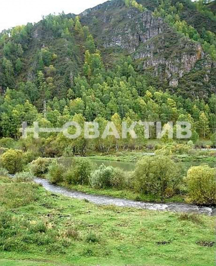 Земельный участок Респ Алтай, Шебалинский р-н, село Мыюта
