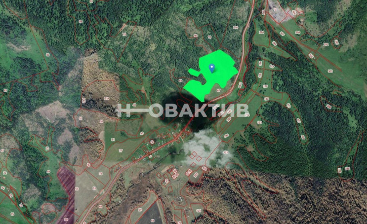 Земельный участок Респ Алтай, Шебалинский р-н, с/п Дъектиекское