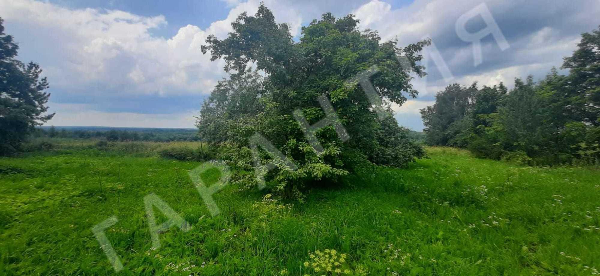 Купить дачу, дом, коттедж за 620 000 рублей на , 16