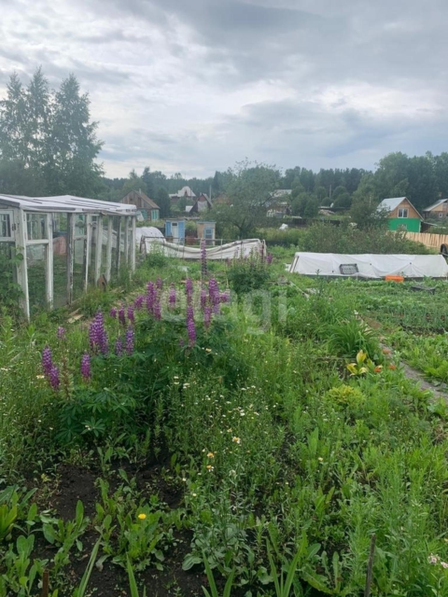 Купить дачу, дом, коттедж за 350 000 рублей на Array