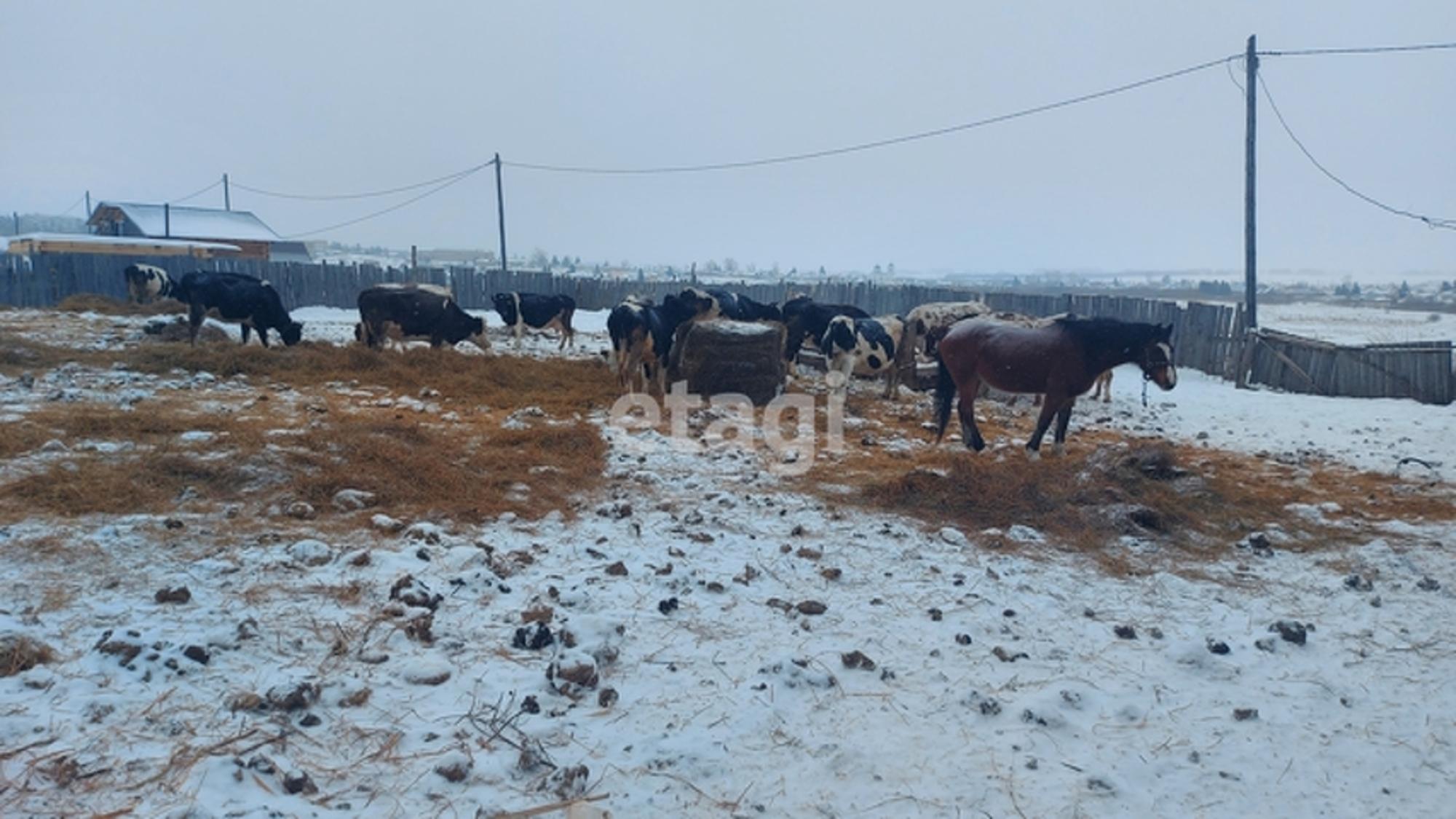 Купить дачу, дом, коттедж за 7 000 000 рублей на Array