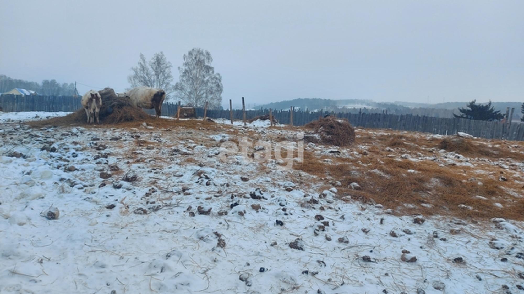 Купить дачу, дом, коттедж за 7 000 000 рублей на Array