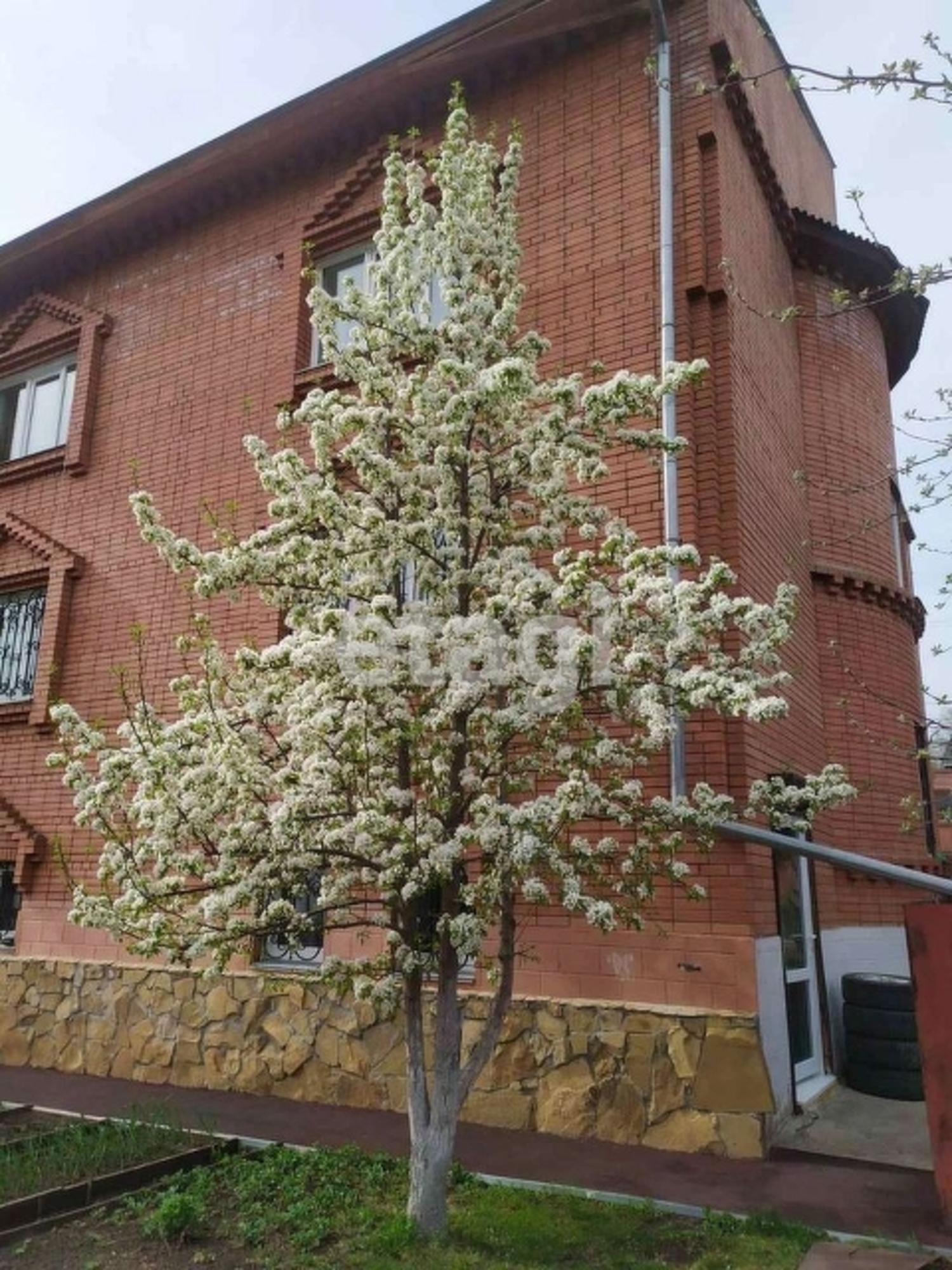 Купить дачу, дом, коттедж за 20 000 000 рублей на Большой бульвар