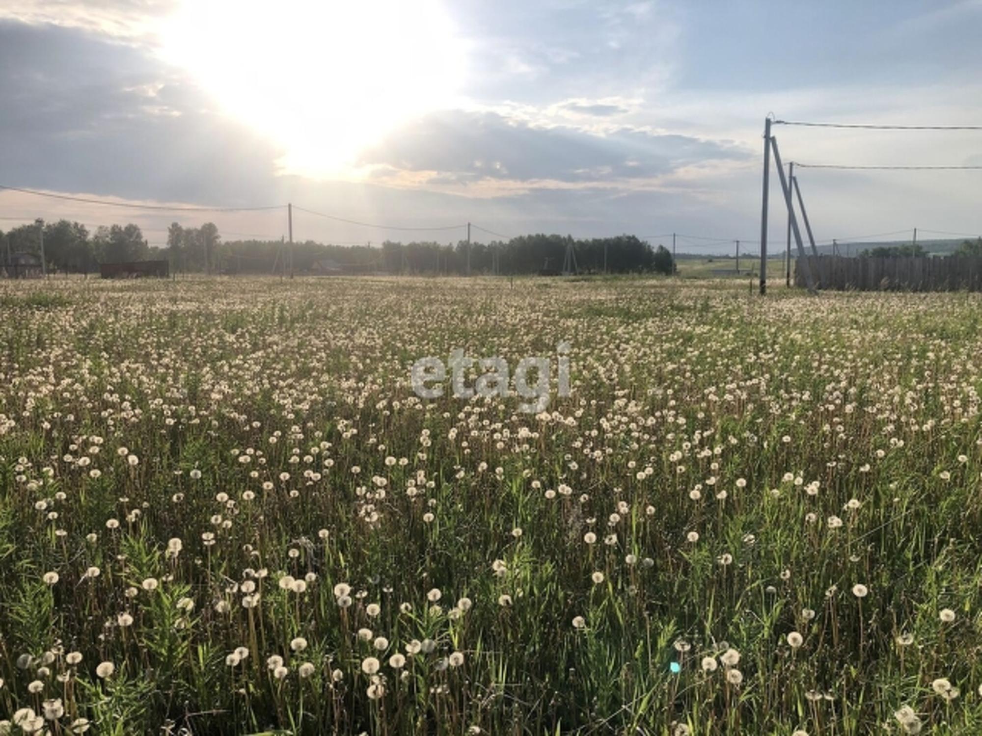 Купить землю, земельный участок за 280 000 рублей на Array