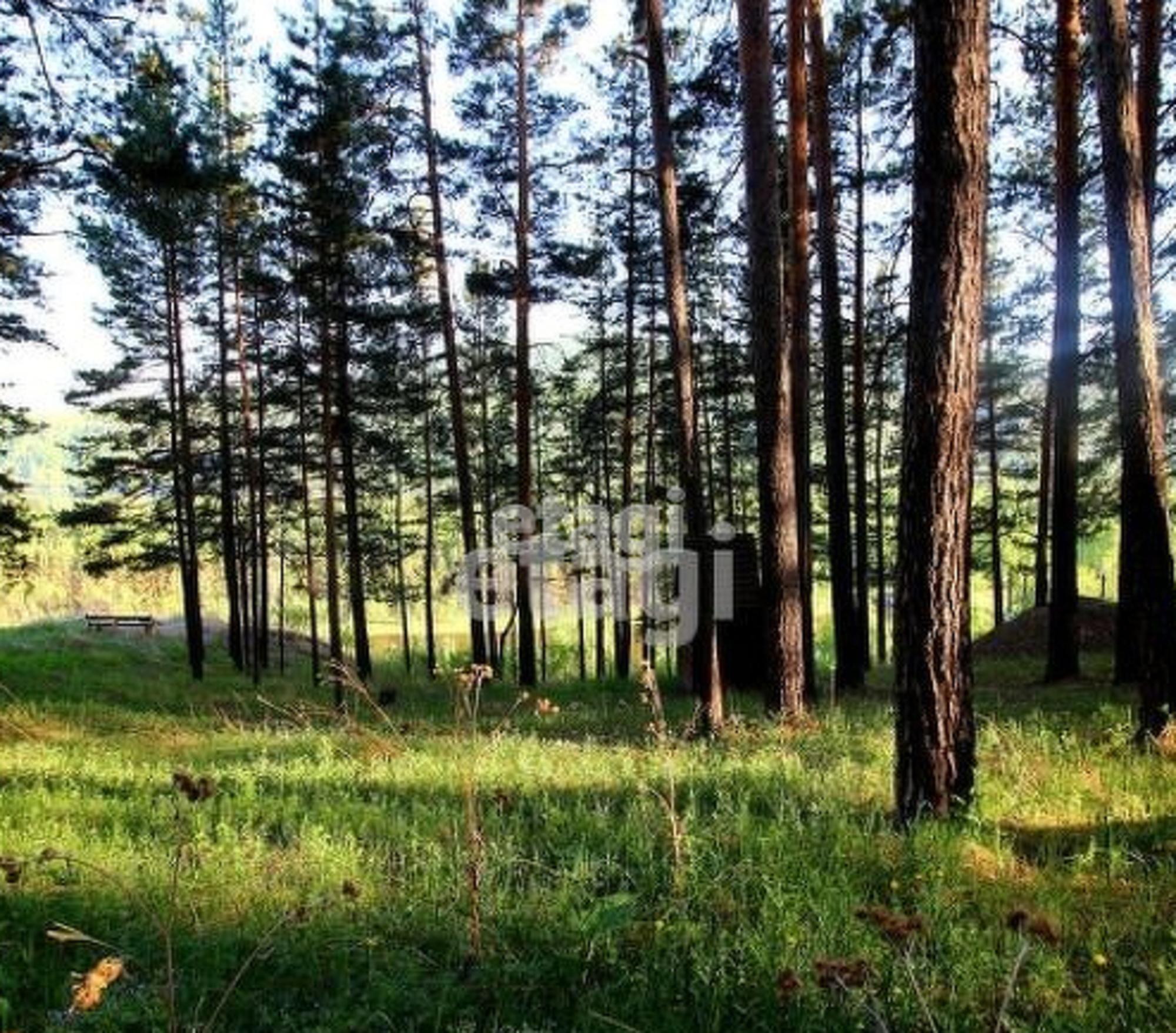 Купить землю, земельный участок за 1 100 000 рублей на Array
