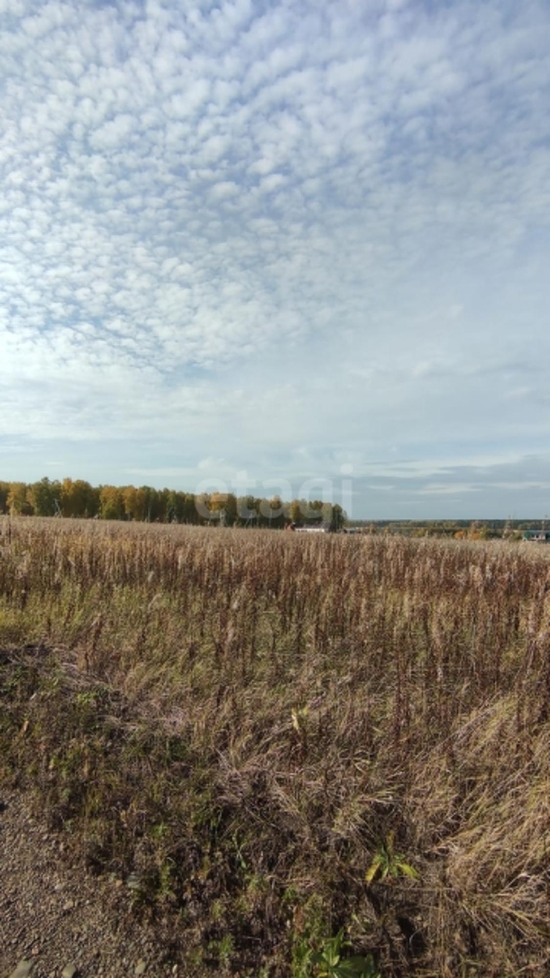 Купить землю, земельный участок за 130 000 рублей на Array