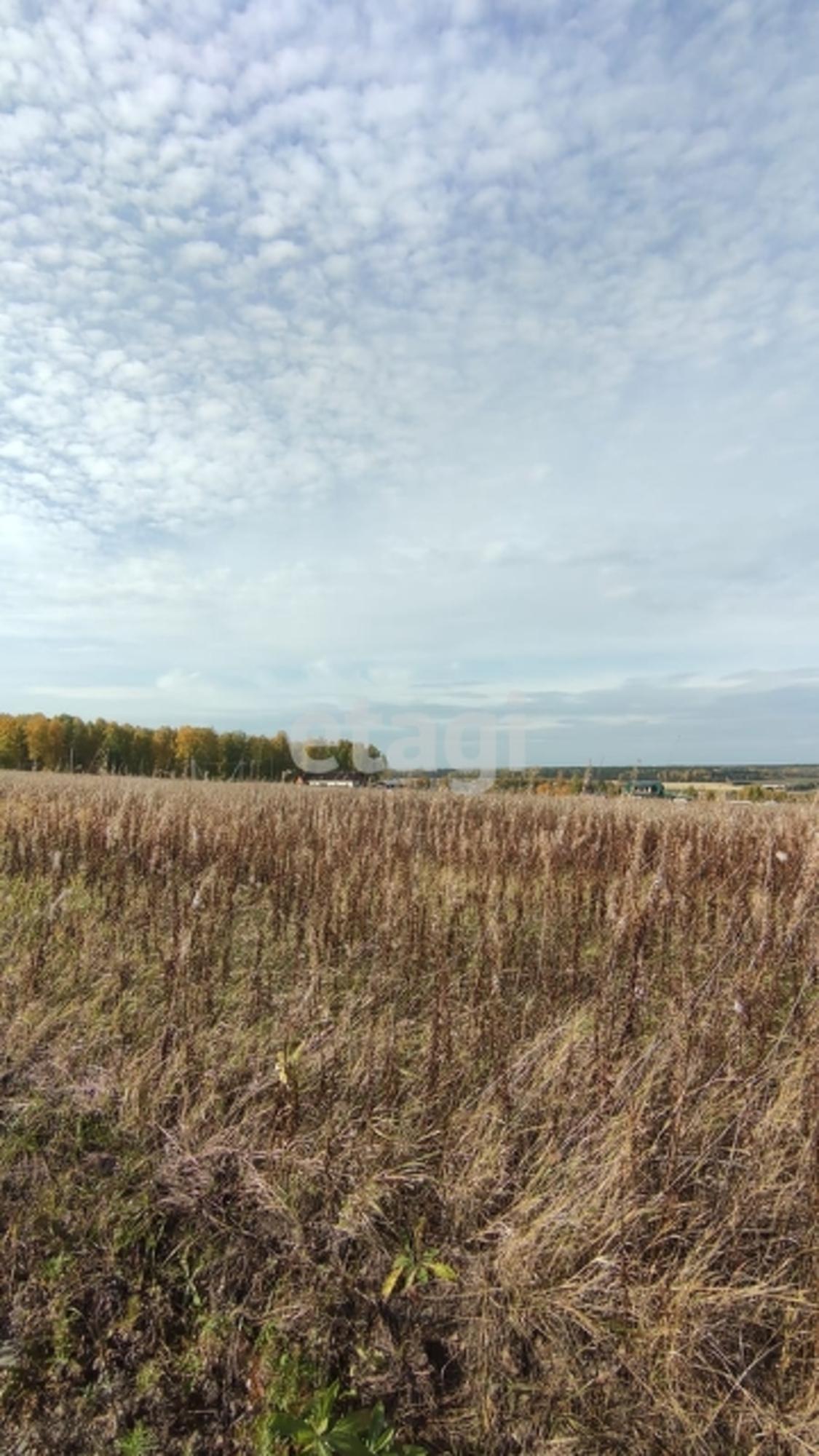 Купить землю, земельный участок за 160 000 рублей на Array