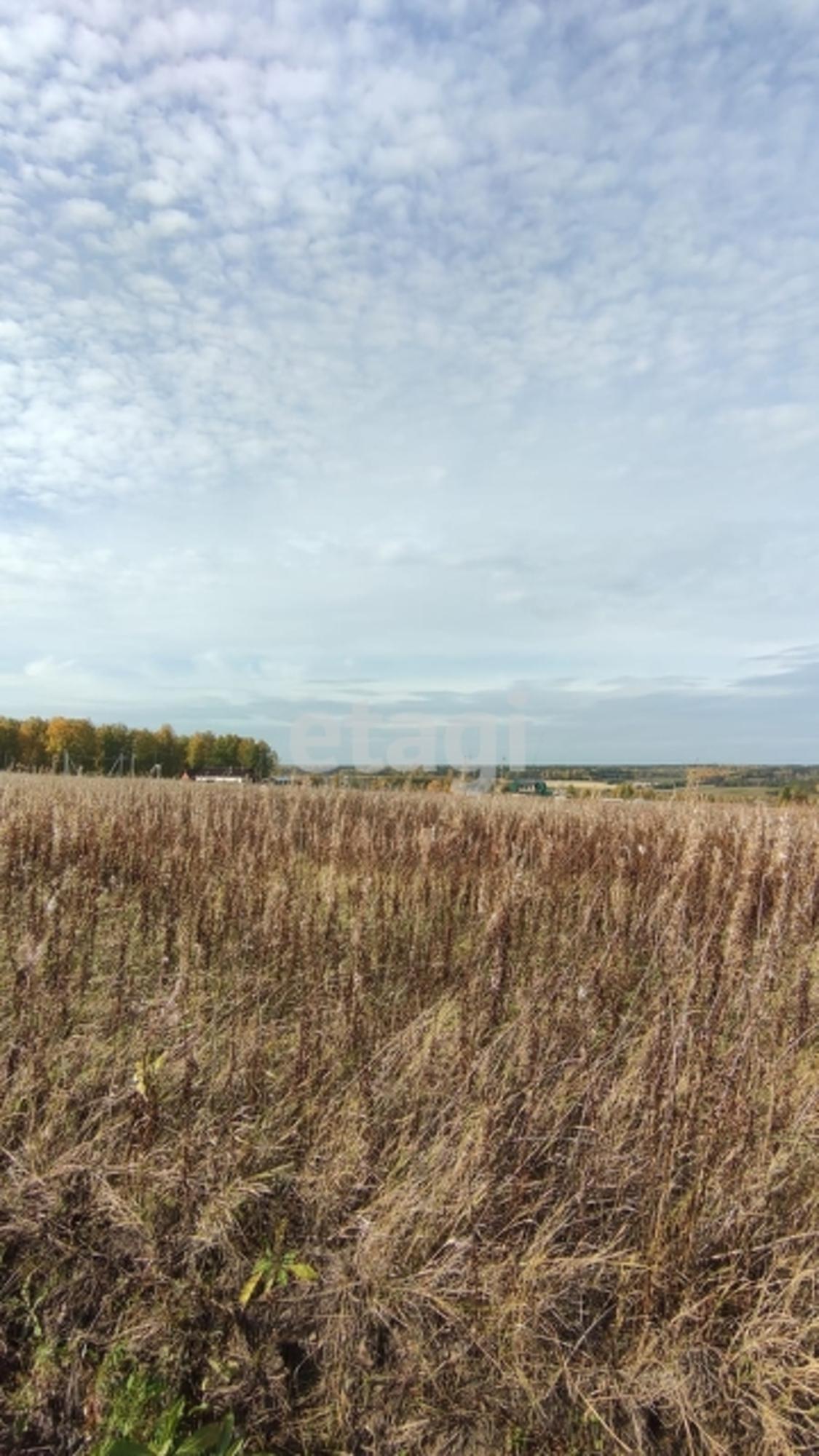 Купить землю, земельный участок за 160 000 рублей на Array