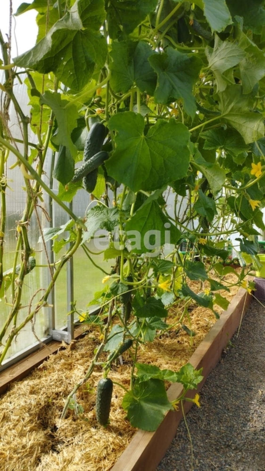 Купить дачу, дом, коттедж за 1 000 000 рублей на Array
