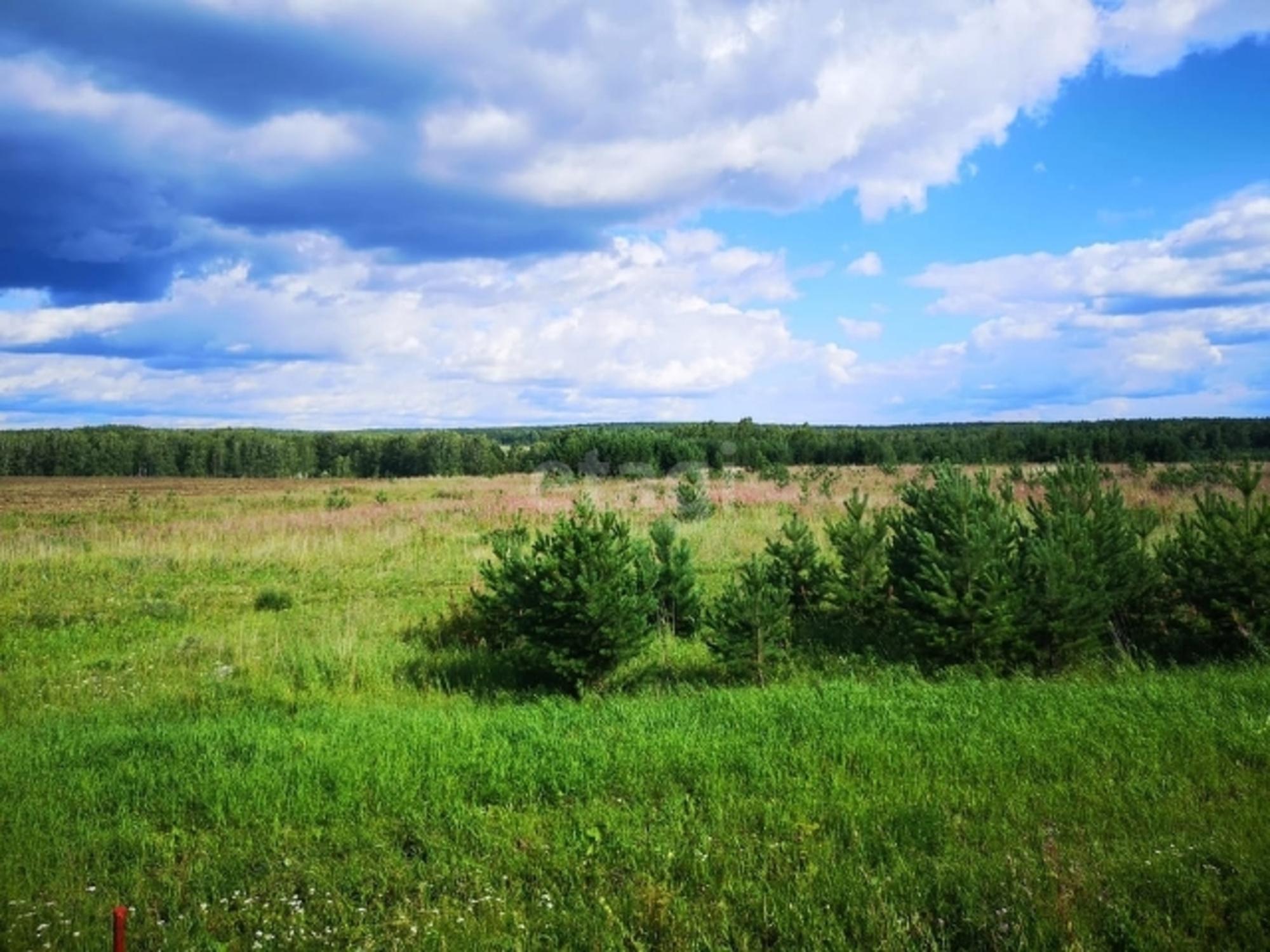 Купить землю, земельный участок за 770 000 рублей на Array