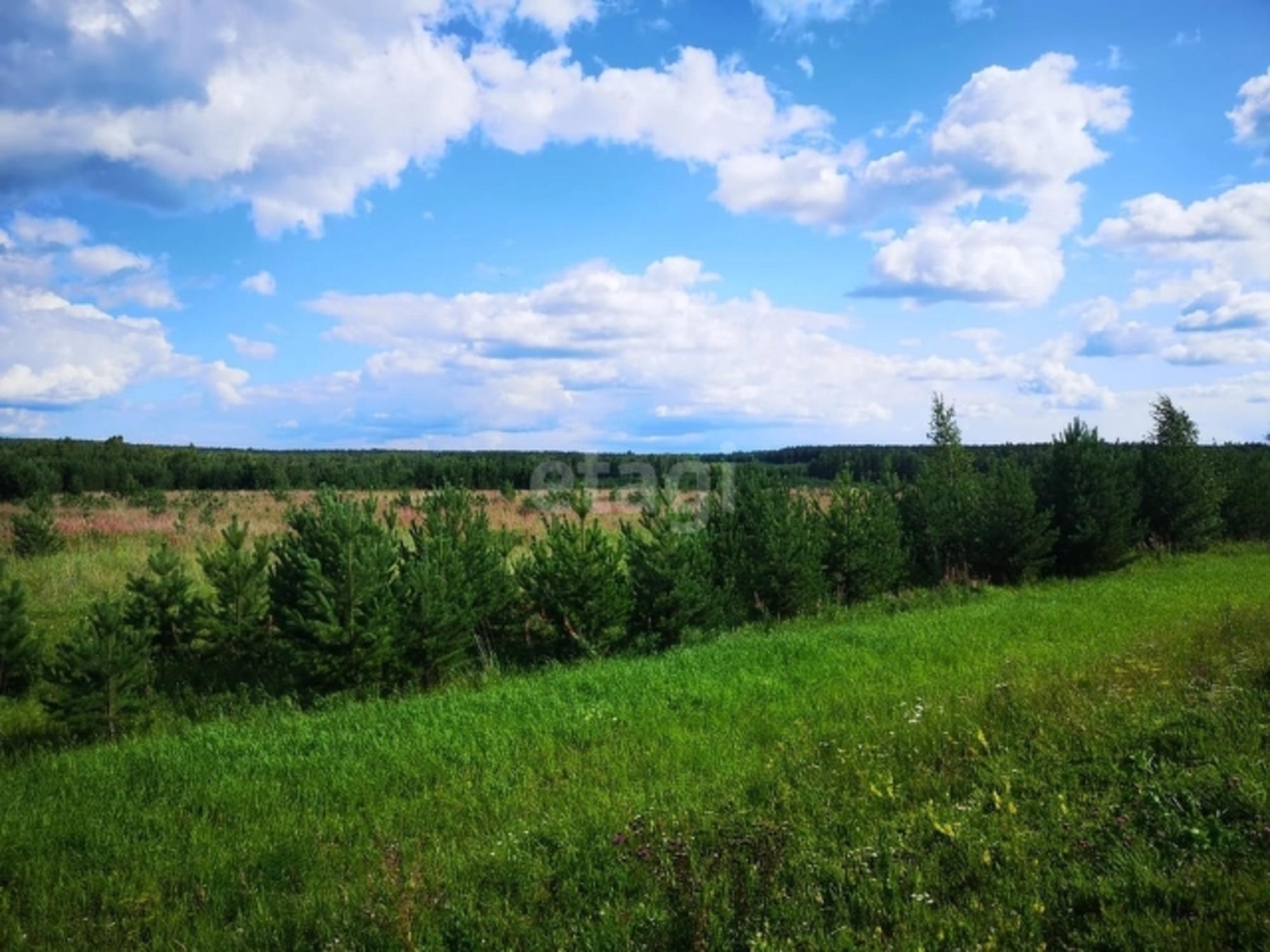 Купить землю, земельный участок за 770 000 рублей на Array