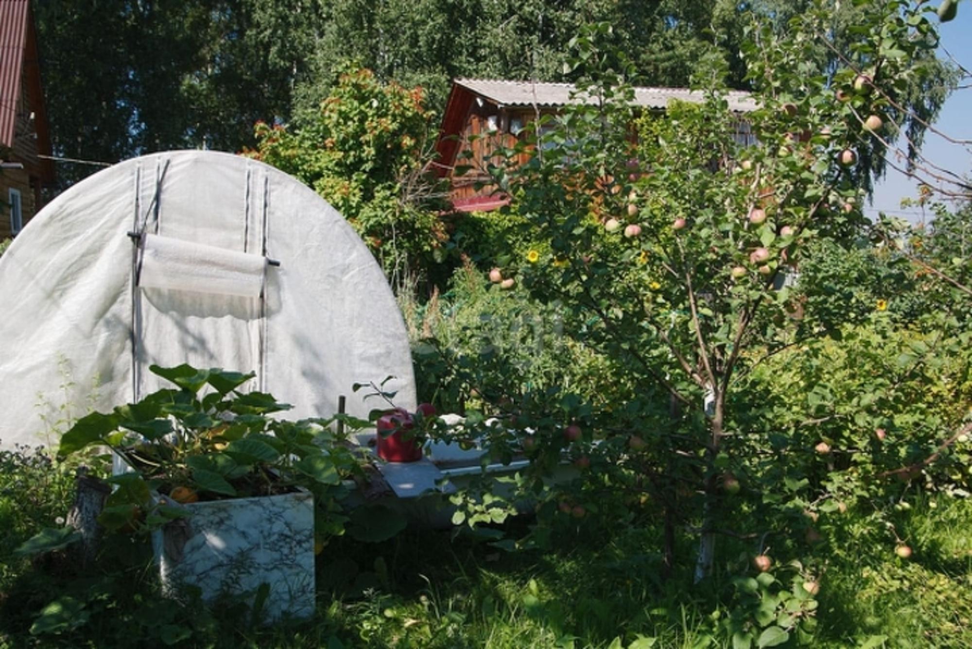 Купить дачу, дом, коттедж за 3 050 000 рублей на Array