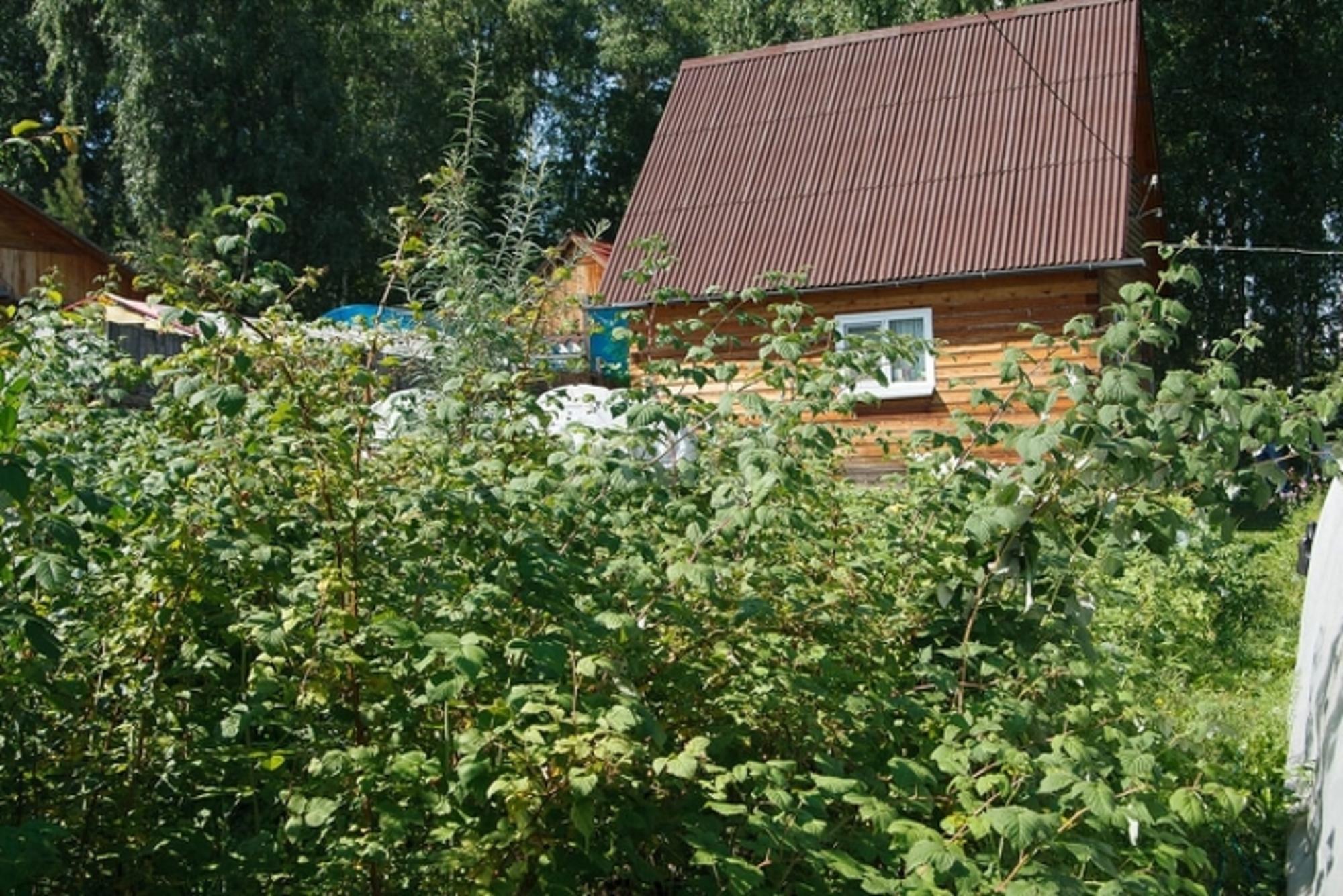 Купить дачу, дом, коттедж за 3 050 000 рублей на Array