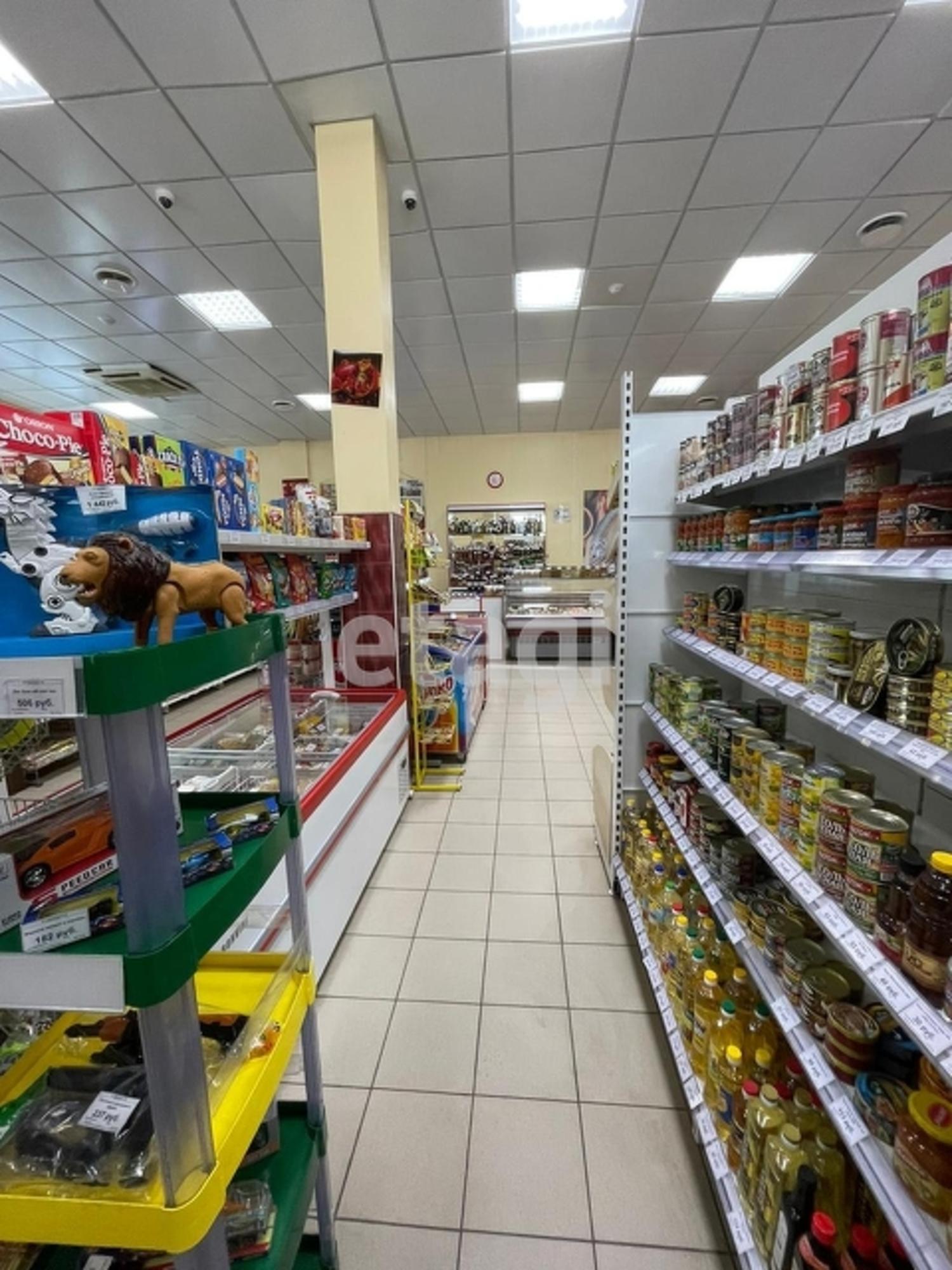 Купить торговое помещение за 40 000 000 рублей на улица Олейникова